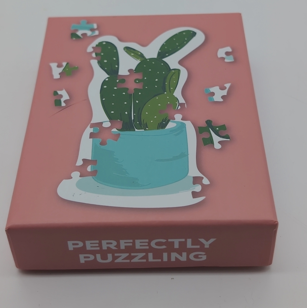 Perfectly Puzzling Cactus Puzzle Box - Pink & Teal